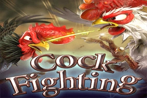 01743 cock fighting