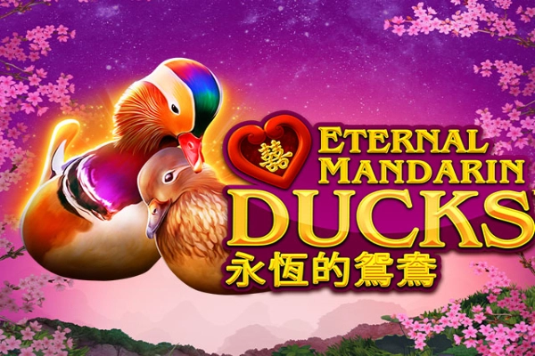 09415 power prizes eternal mandarin ducks